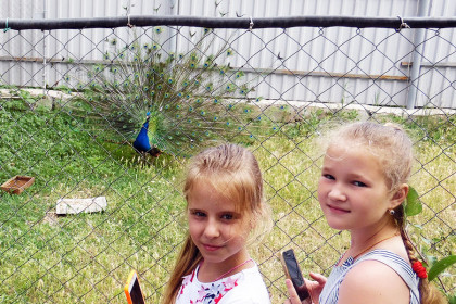 Юные прихожане Успенского храма Константиновки посетили зоопарк