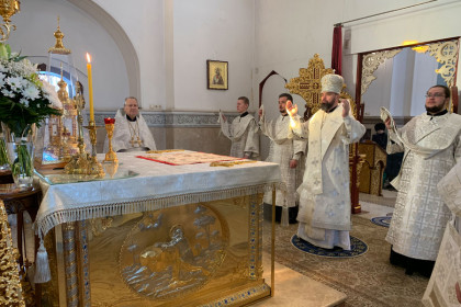 Митрополит Митрофан совершил богослужение навечерия Богоявления в Николаевском архиерейском соборе