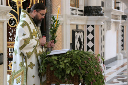 Митрополит Горловский и Славянский Митрофан совершил литургию в День Святой Троицы