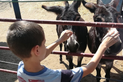 Воспитанники Покровского собора Енакиево посетили зоопарк