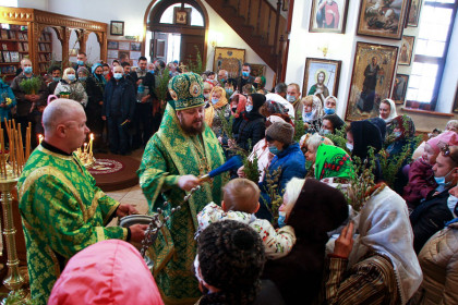 Неделя ваий в Викторовском храме Мирнограда